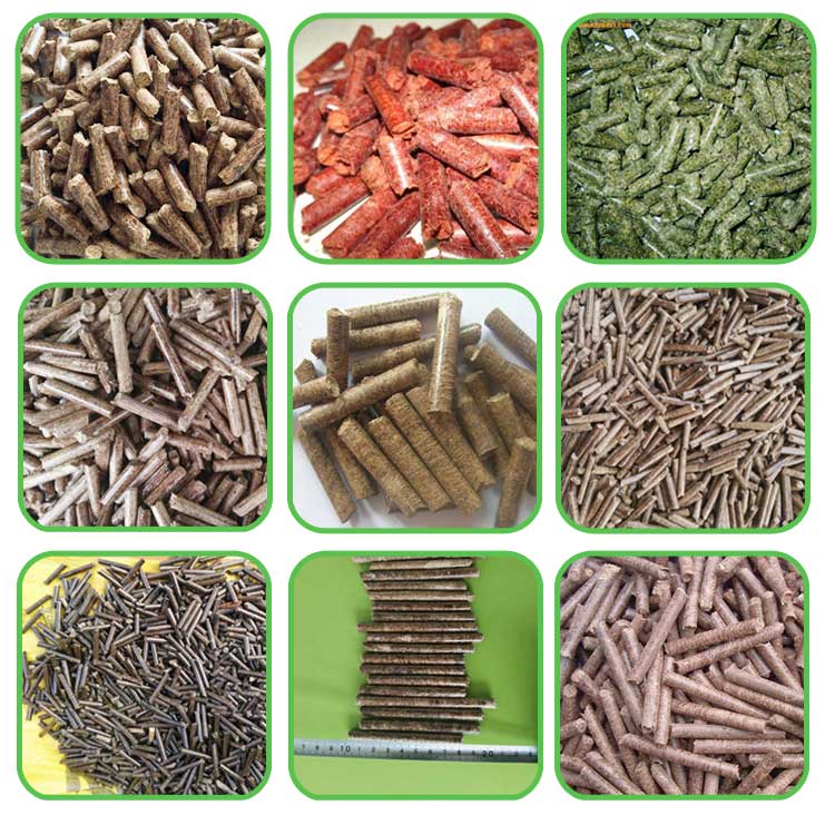 生物質(zhì)環(huán)模顆粒機(jī)設(shè)備如何生產(chǎn)顆粒燃料 生物質(zhì)環(huán)模顆粒機(jī)設(shè)備如何生產(chǎn)顆粒燃料