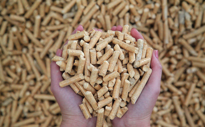 鋸末顆粒機的生物質(zhì)顆粒燃料 鋸末顆粒機的生物質(zhì)顆粒燃料