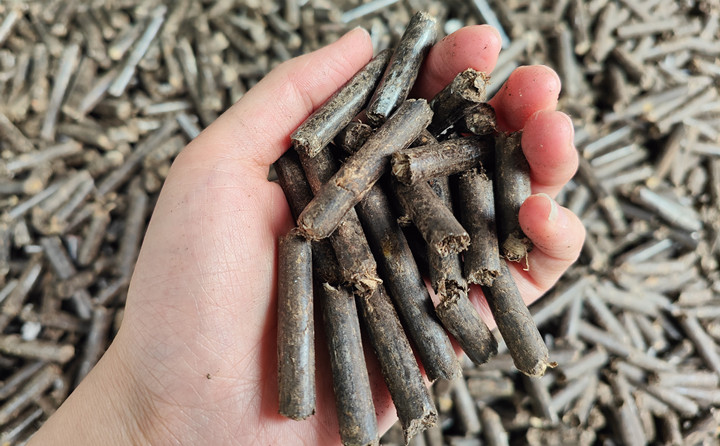 木屑顆粒機生物質顆粒助力綠色農業高質量發展 木屑顆粒機生物質顆粒助力綠色農業高質量發展