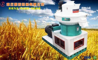 中國創新提速，綠色經濟之離心高效環模顆粒機