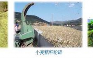 農民科學發展新思路，秸稈綜合利用成為賺錢好門路之秸稈顆粒機