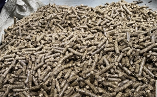 鋸末顆粒機的顆粒燃料比煤炭貴，為什么還有那么多人用？